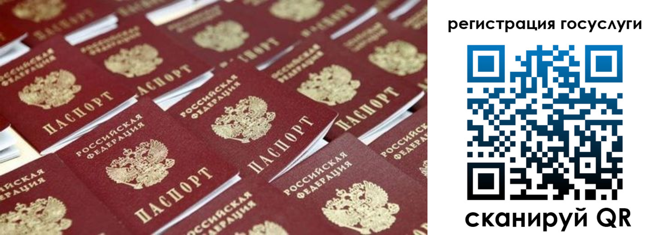 прописка ребенка в Болотном